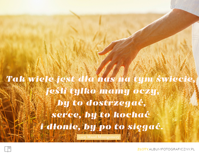 Dostrzec piękno życia